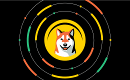 What Is Dogecoin ? What Is Doge ? NEW 2022*